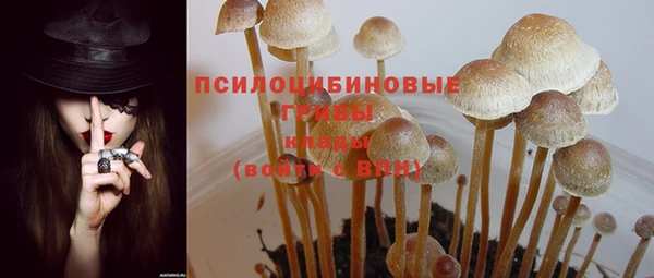 МДПВ Остров