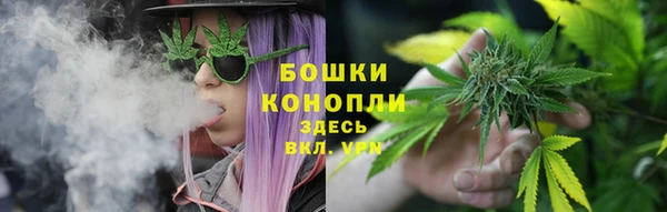 эйфоретик Пересвет