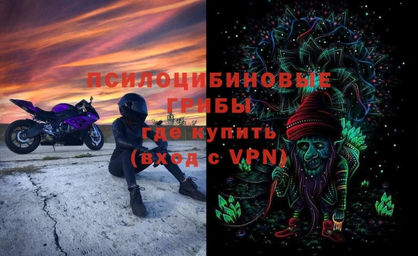 эйфоретик Пересвет